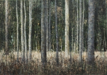 Risikosone 140x200cm 2012