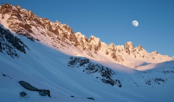 Joenshorn i Skumringstimen 60x100cm